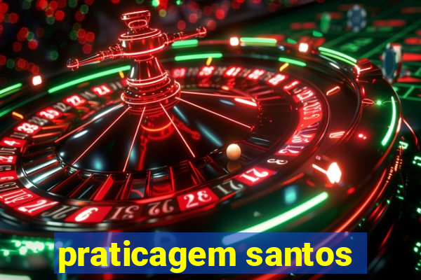 praticagem santos